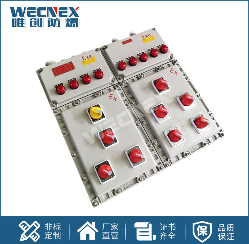 BXX 防爆動(dòng)力檢修箱