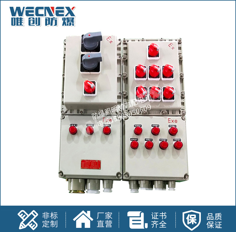 BXX 防爆動(dòng)力檢修箱