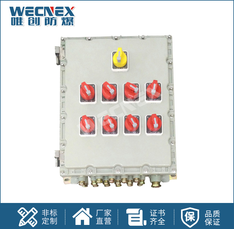 BXX 防爆動力檢修箱